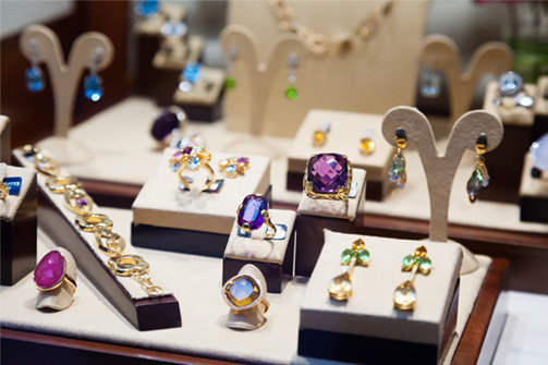 Jewellery Anicalans Software