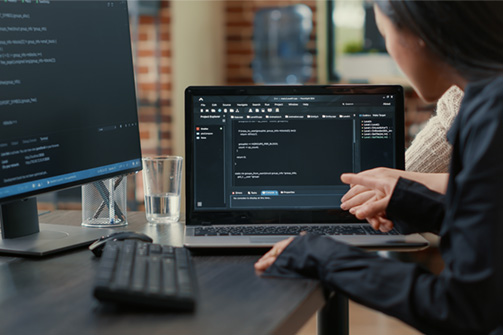 Software Development